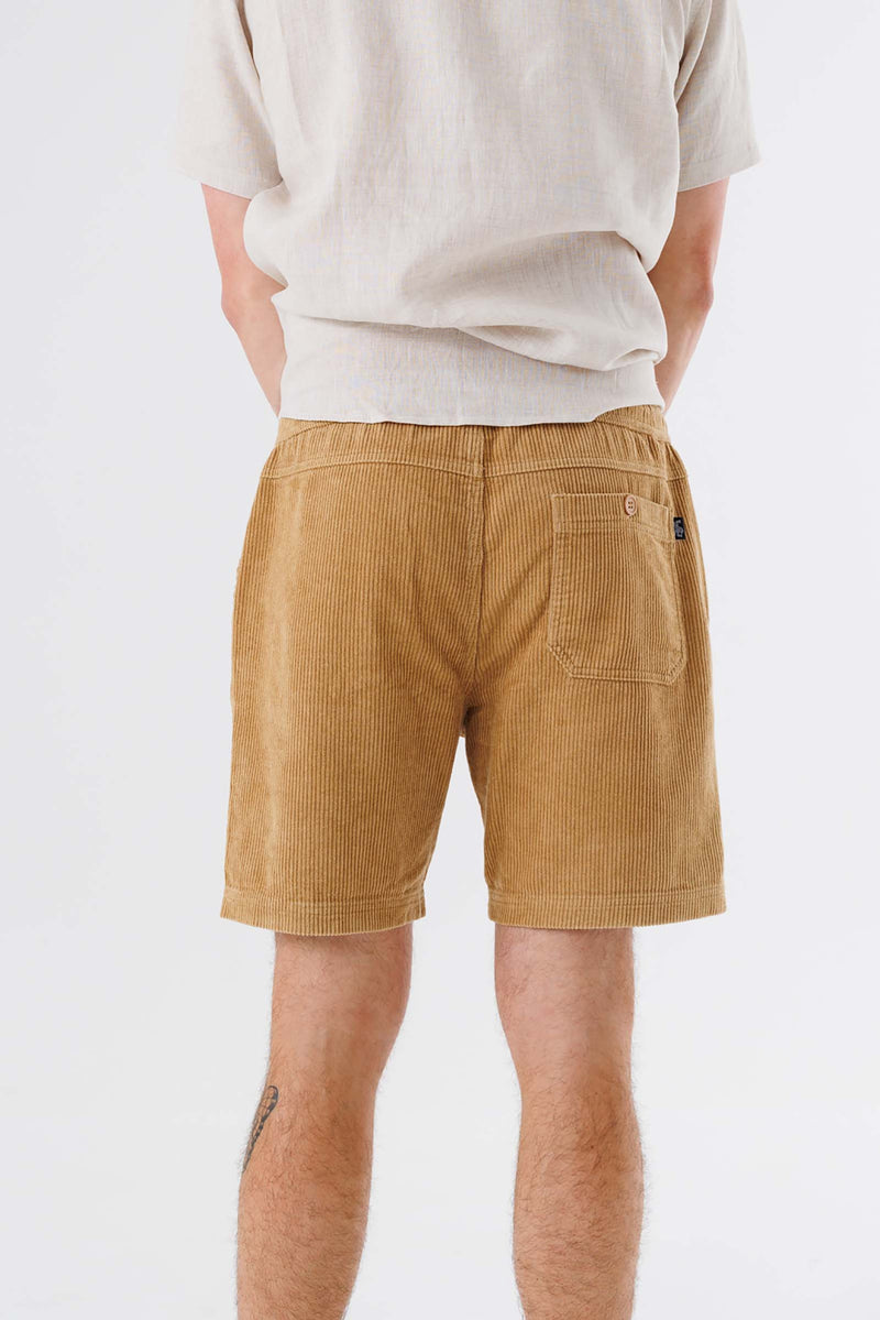 unisex-corduroy-shorts-brown-andorwith-surf-skate-wear